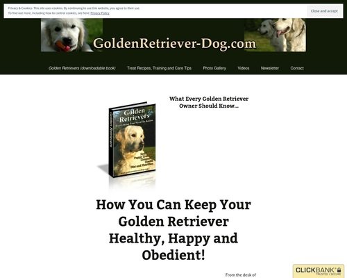 Golden Retrievers : Everything You Need to Know | Golden Retriever Dog – Golden Retrievers Care and Training